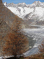 Le glacier d'Aletsch en fin d'automne