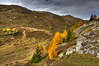 Autumn colors near Nessel
