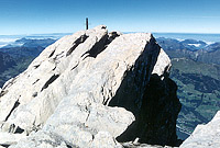 The summit