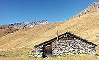 Alpine pastures of Moiry