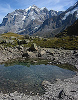 Oberhornsee and Jungfrau