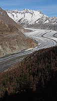 Aletschwald and Grosser Aletschgletscher