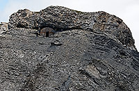 Fortifications militaires sous la Pointe des Martinets