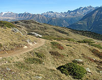 On termine le circuit par une traversée des pentes au-dessus de Bettmeralp