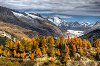 Glacier d'Aletsch