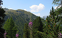 The Weisshorn hotel