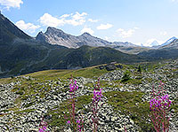 The little valley Tsa du Touno