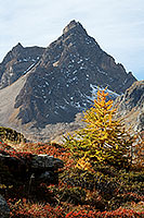 Faldumrothorn (2832m, 9291ft)