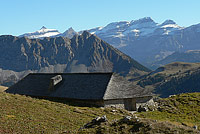 Chalet au toit en tavillons