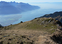 Pointe d'Aveneyre, delta du Rhône et Lac Léman