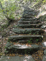 Sentier en escalier de pierre