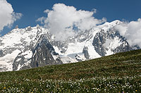 The Mont-Blanc massive as seen from the flowered meadows of Mont de la Saxe