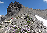 Nuseyhorn (2839m, 9314ft)