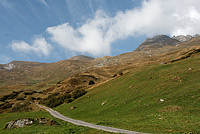 Alp Piänetsch